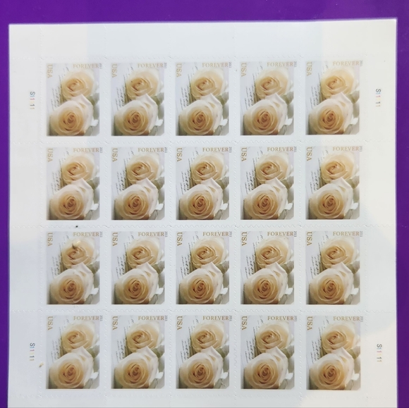 USPS Other - Set of 100 White Roses Perfect for weddings, ONLY HAVE A FEW LEFT.